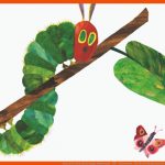 Natur In Der Kita Mit Der Raupe Nimmersatt - Lbv - Gemeinsam ... Fuer Von Der Raupe Zum Schmetterling Arbeitsblatt Kindergarten