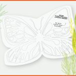 Naturforscher // Raupe-schmetterling Zebis Fuer Von Der Raupe Zum Schmetterling Arbeitsblatt Kindergarten