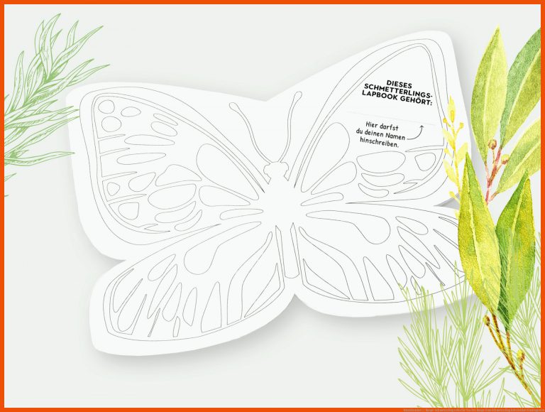 Naturforscher // Raupe-Schmetterling | zebis für von der raupe zum schmetterling arbeitsblatt kindergarten