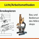 Naturwissenschaftli-ches Arbeiten In Jgst.5 Thomas Nickl, Ppt ... Fuer Aufbau Bohrmaschine Arbeitsblatt
