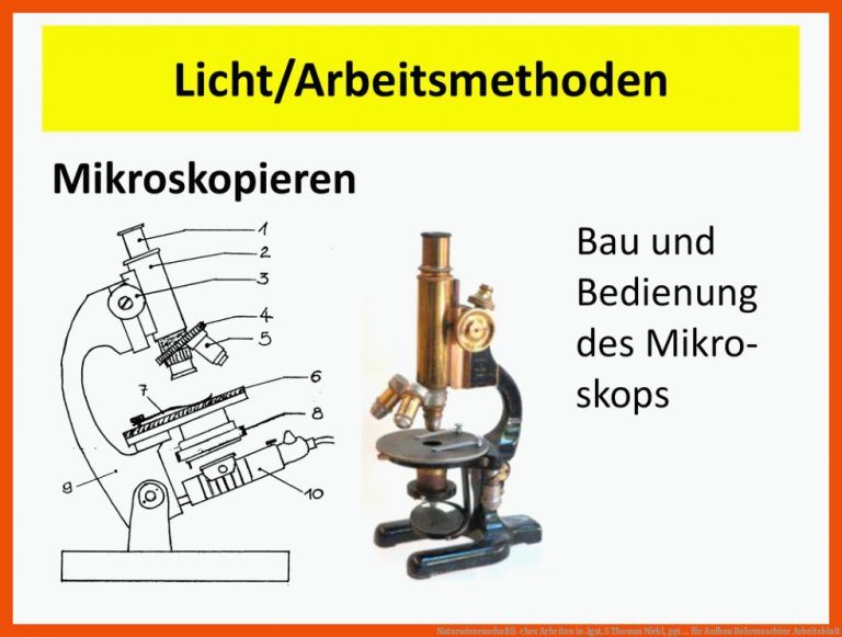Naturwissenschaftli-ches Arbeiten In Jgst.5 Thomas Nickl, Ppt ... Fuer Aufbau Bohrmaschine Arbeitsblatt