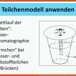 Naturwissenschaftli-ches Arbeiten In Jgst.5 Thomas Nickl, Ppt ... Fuer Papierchromatographie Arbeitsblatt