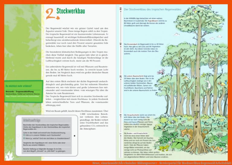 News_einzelansicht | SÃ¤chsischer Bildungsserver - Serviceportal für stockwerkbau regenwald arbeitsblatt