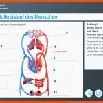 Nmg.1 atmung Und Blutkreislauf Zebis Fuer Die atmung Des Menschen Arbeitsblatt