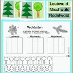 Noch Mehr Zum Wald: Welche BÃ¤ume Wachsen Wo? - Blog Bildung ... Fuer Arbeitsblatt Laubbäume