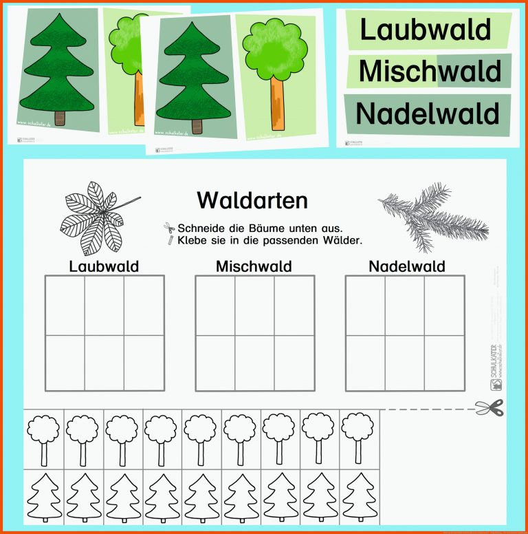 Noch mehr zum Wald: Welche BÃ¤ume wachsen wo? - Blog | Bildung ... für arbeitsblatt laubbäume