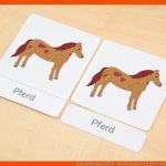Nomenklaturkarten Pferd - Wunderwerkstatt Fuer Pferde Arbeitsblätter Zum Ausdrucken
