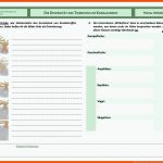 Noworriesbiology - Dfu - Wirbellose Fuer Wirbeltiere Und Wirbellose Tiere Arbeitsblatt