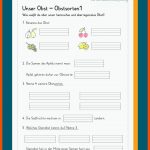 Obst Und GemÃ¼se Fuer Vom Samen Zur Pflanze Arbeitsblatt