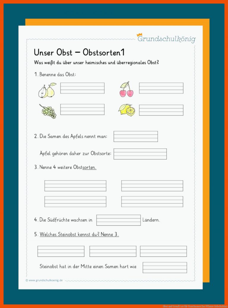 Obst Und GemÃ¼se Fuer Vom Samen Zur Pflanze Arbeitsblatt