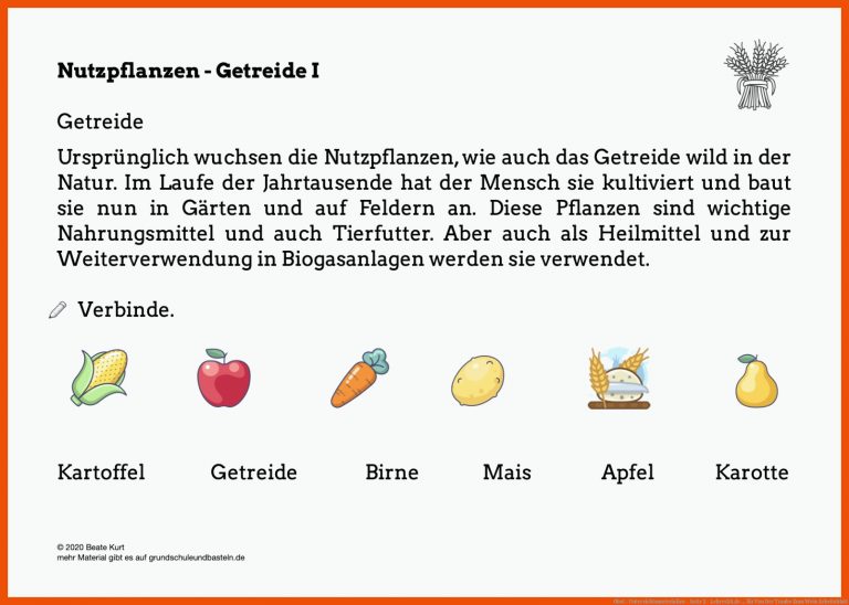 Obst - Unterrichtsmaterialien - Seite 2 - Lehrer24.de ... Fuer Von Der Traube Zum Wein Arbeitsblatt