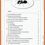 Ãkologie Hautnah - Band 2: Die Rote Waldameise Fuer Insekten Arbeitsblatt Pdf