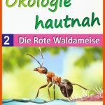 Ãkologie Hautnah - Band 2: Die Rote Waldameise Fuer Rote Waldameise Arbeitsblatt