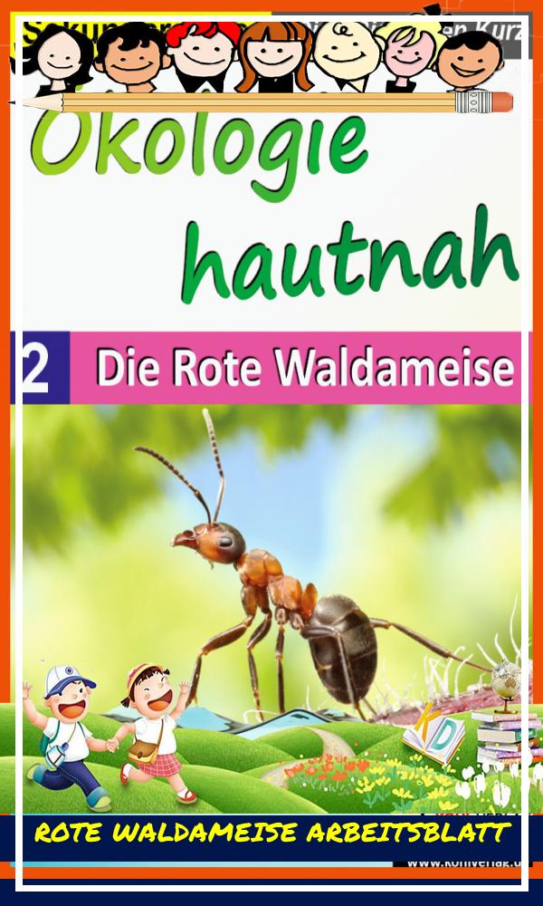 Rote Waldameise Arbeitsblatt