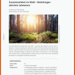 Ãkologie: Zusammenleben Im Wald Fuer Nahrungsbeziehungen Im Wald Arbeitsblatt