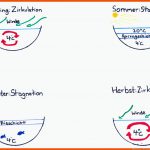 Ãkosystem See - ErklÃ¤rungsversuch 2 - Bio Einfach ErklÃ¤rt Fuer Zonierung See Arbeitsblatt