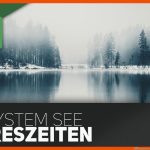 Ãkosystem See - Jahreszeiten Fuer Der See Im Jahresverlauf Arbeitsblatt