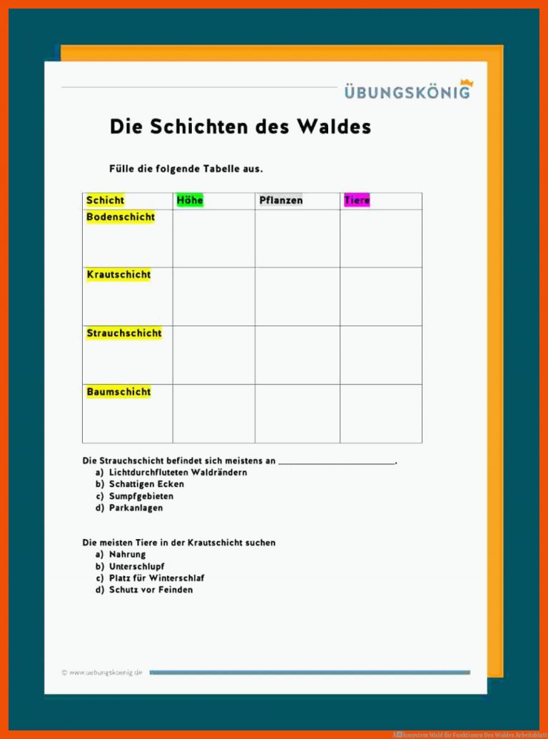 Ãkosystem Wald Fuer Funktionen Des Waldes Arbeitsblatt
