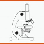 Optisches Mikroskop-zeichnung Arbeitsblatt - Ãffentlichen Raum Png ... Fuer Mikroskop Arbeitsblatt
