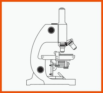 Mikroskop Arbeitsblatt