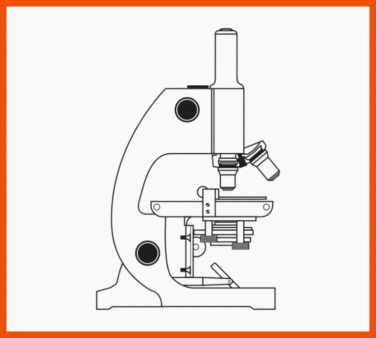 Optisches Mikroskop-Zeichnung Arbeitsblatt - Ãffentlichen Raum png ... für mikroskop arbeitsblatt