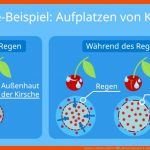 Osmose Einfach ErklÃ¤rt â¢ Ablauf, Beispiele Â· [mit Video] Fuer Diffusion Und Osmose Arbeitsblatt