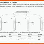 Osmose Experiment Mit Kartoffeln forum Biologie Fuer Diffusion Und Osmose Arbeitsblatt