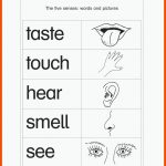 Our Five Senses - You Smell and Taste and Feel and See and Hear Fuer Die Fünf Sinne Arbeitsblätter