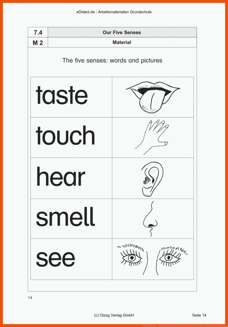 Our Five Senses - You Smell and Taste and Feel and See and Hear für die fünf sinne arbeitsblätter