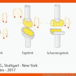 PÃ¤dagogik Im Rettungsdienst: Grafiken - Ains - Georg Thieme Verlag Fuer Gelenktypen Arbeitsblatt