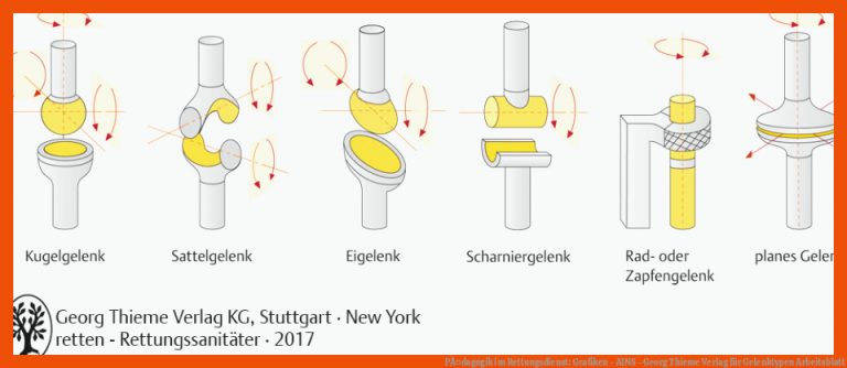 PÃ¤dagogik im Rettungsdienst: Grafiken - AINS - Georg Thieme Verlag für gelenktypen arbeitsblatt