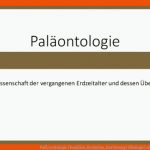 PalÃ¤ontologie (fossilien, Evolution, Dartierung) (biologie) Als ... Fuer Erdzeitalter Arbeitsblatt