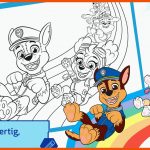 Paw Patrol Ausmalbilder Zum Download toggo Eltern Fuer Paw Patrol Arbeitsblätter