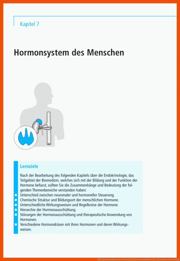 PDF) Hormonsystem des Menschen für hormondrüsen des menschen arbeitsblatt