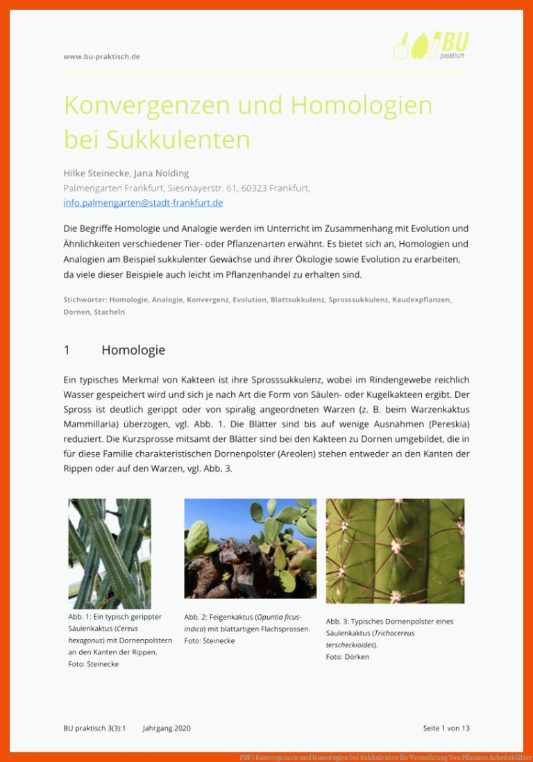 PDF) Konvergenzen und Homologien bei Sukkulenten für vermehrung von pflanzen arbeitsblätter