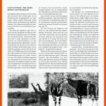 Pdf) Selektion: Die Entstehung Von Giraffe Und Okapi Fuer Birkenspanner Selektion Arbeitsblatt