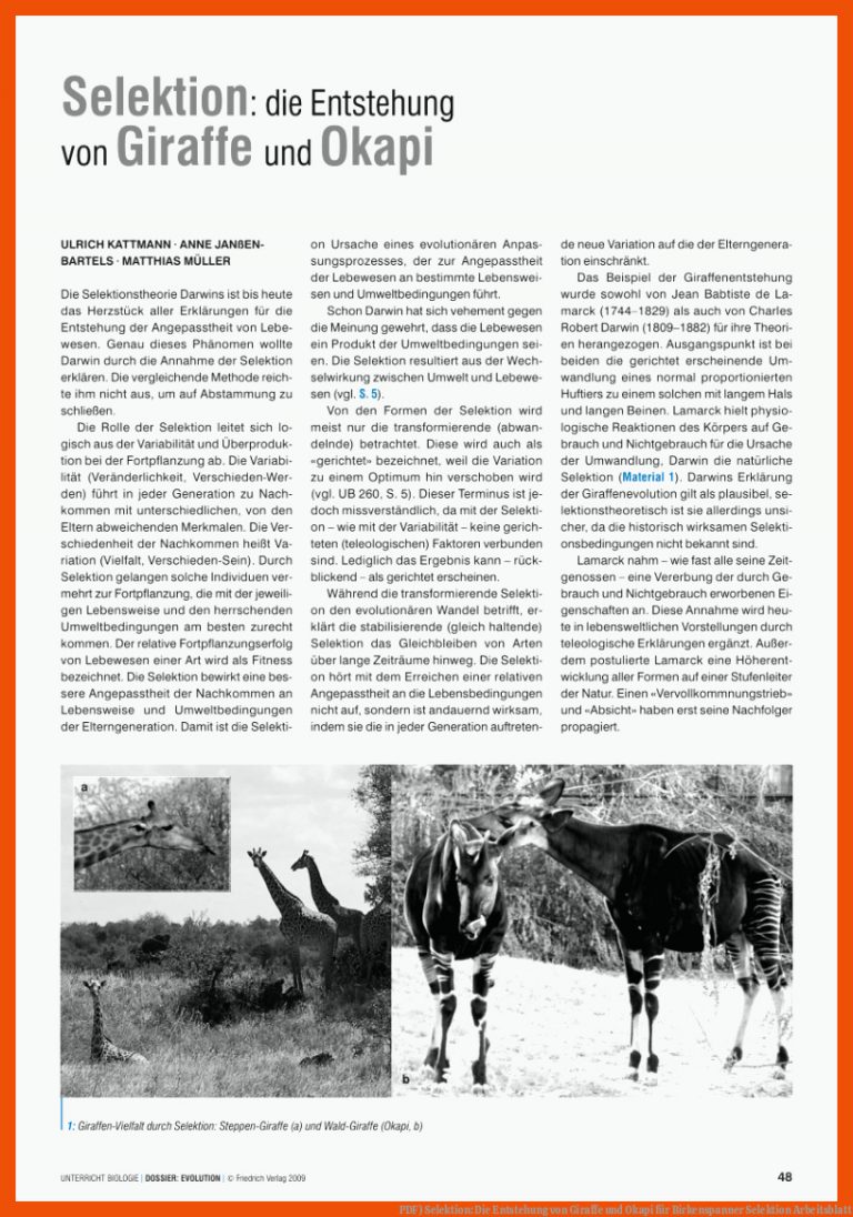 Pdf) Selektion: Die Entstehung Von Giraffe Und Okapi Fuer Birkenspanner Selektion Arbeitsblatt