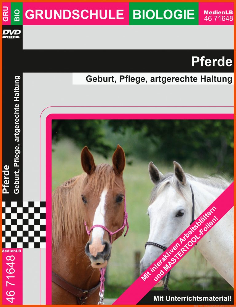 Pferde - DVD - MedienLB für medienlb arbeitsblätter lösungen