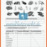 Pflanzliche Und Tierische Nahrungsmittel - Meinunterricht Fuer Ernährungspyramide Arbeitsblatt Sekundarstufe