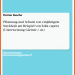 Pflanzung Und Schnitt Von EinjÃ¤hrigem Steckholz Am Beispiel Von ... Fuer Arbeitsblätter Garten Und Landschaftsbau