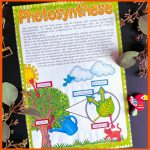 Photosynthese - Ab, Infotext & Powerpoint-prÃ¤sentation â Unterrichtsmaterial Im Fach Biologie Fuer Versuche Zur Fotosynthese Arbeitsblatt
