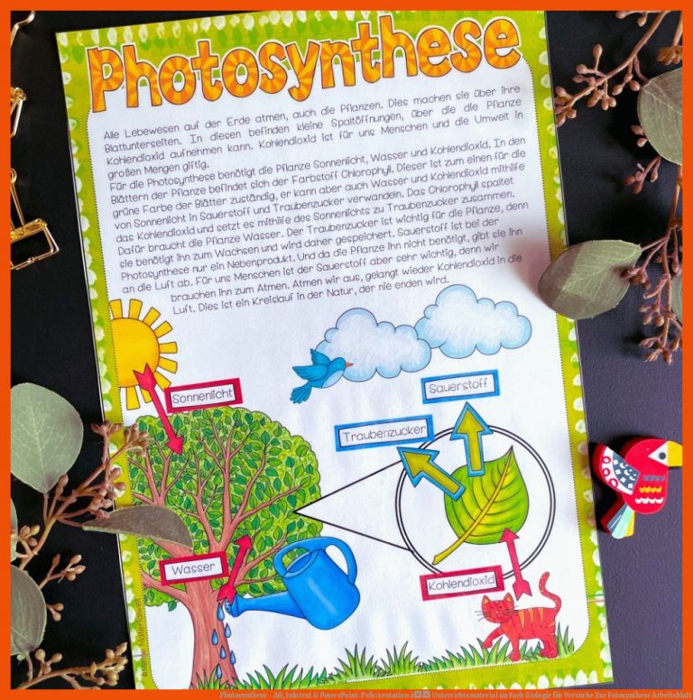 Photosynthese - AB, Infotext & PowerPoint-PrÃ¤sentation â Unterrichtsmaterial im Fach Biologie für versuche zur fotosynthese arbeitsblatt