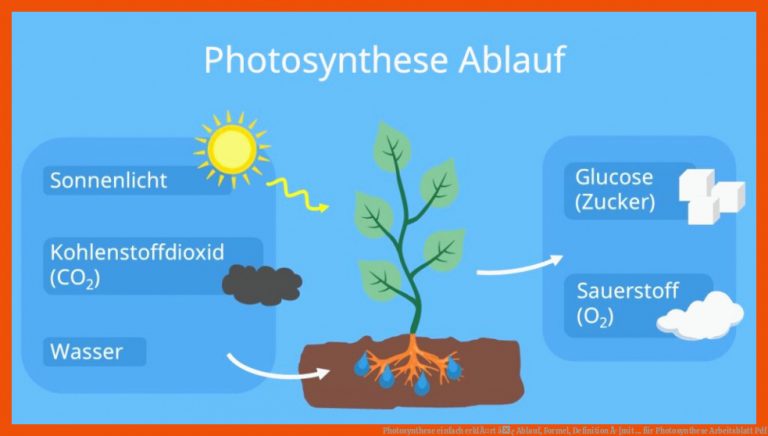 Photosynthese einfach erklÃ¤rt â¢ Ablauf, Formel, Definition Â· [mit ... für photosynthese arbeitsblatt pdf