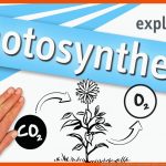Photosynthese Einfach ErklÃ¤rt (explainityÂ® ErklÃ¤rvideo) Fuer Fotosynthese Und Zellatmung Arbeitsblatt Lösungen
