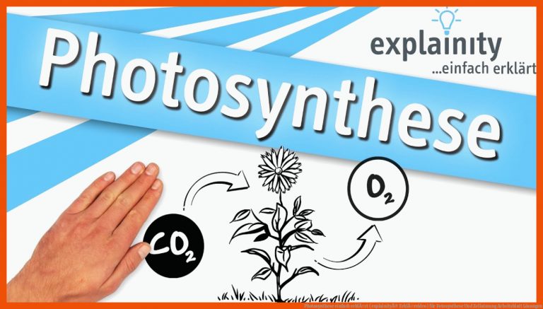 Photosynthese einfach erklÃ¤rt (explainityÂ® ErklÃ¤rvideo) für fotosynthese und zellatmung arbeitsblatt lösungen