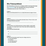 Photosynthese Fuer Arbeitsblätter Biologie Klasse 5 Kostenlos