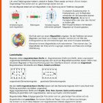 Physik-hinweise Zur âkurvenfahrt (9)â - Ppt Herunterladen Fuer orientierung Ohne Kompass Arbeitsblatt