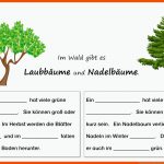 Pin Auf BÃ¤ume Grundschule Fuer Arbeitsblätter Garten Und Landschaftsbau Pdf