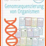Pin Auf Biologie Sekundarstufe Unterrichtsmaterialien Fuer Amöbe Arbeitsblatt