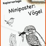 Pin Auf Biologie Sekundarstufe Unterrichtsmaterialien Fuer Arbeitsblatt Vogelzug